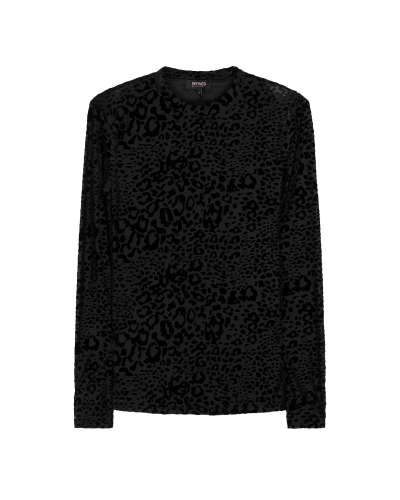 Refined Department TOP JUDY