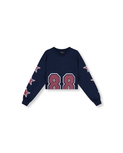 CROPPED JERSEY ULLA BLAUW ROOD 