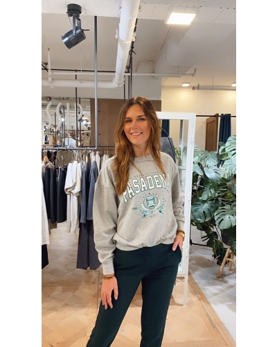 SWEATER PASADENA GRIJS