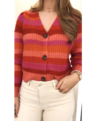 ROZE GESTREEPT VEST