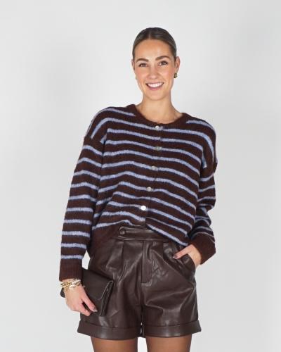 Gossip VEST MIA GESTREEPT BRUIN/BLAUW