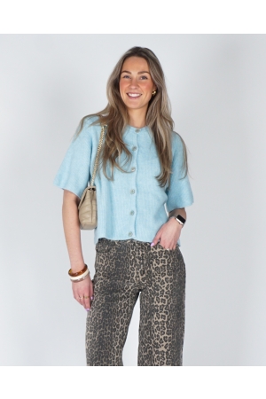 Blauw  