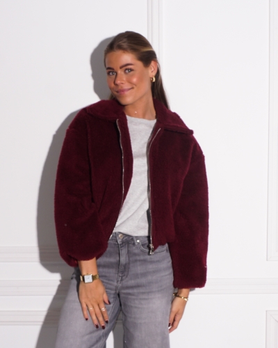Gossip BOMBER TEDDY BORDEAUX 