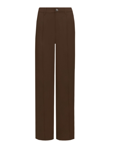 Gossip STRAIGHT LEG PANTALON BRUIN