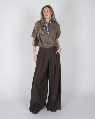 PANTALON MET PLOOIEN BRUIN