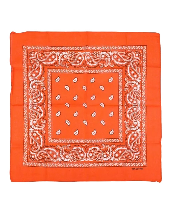 PAISLEY SJAALTJE ORANJE