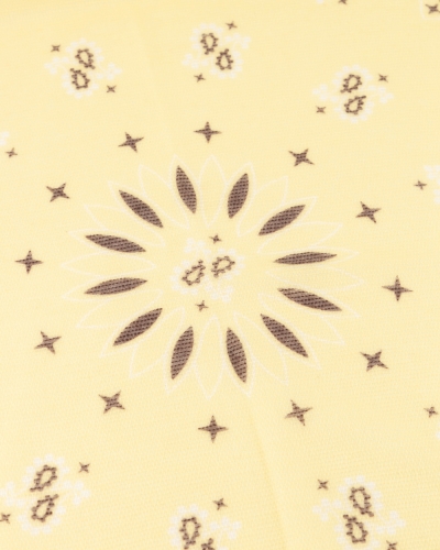 SJAAL PAISLEY PRINT FEE LICHTGEEL
