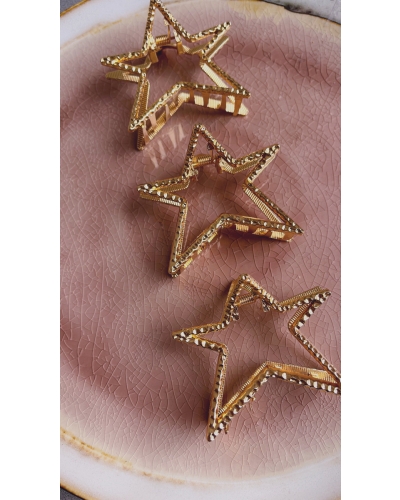 Gossip Gossip Haaraccessoires HAARCLIP STER Goud