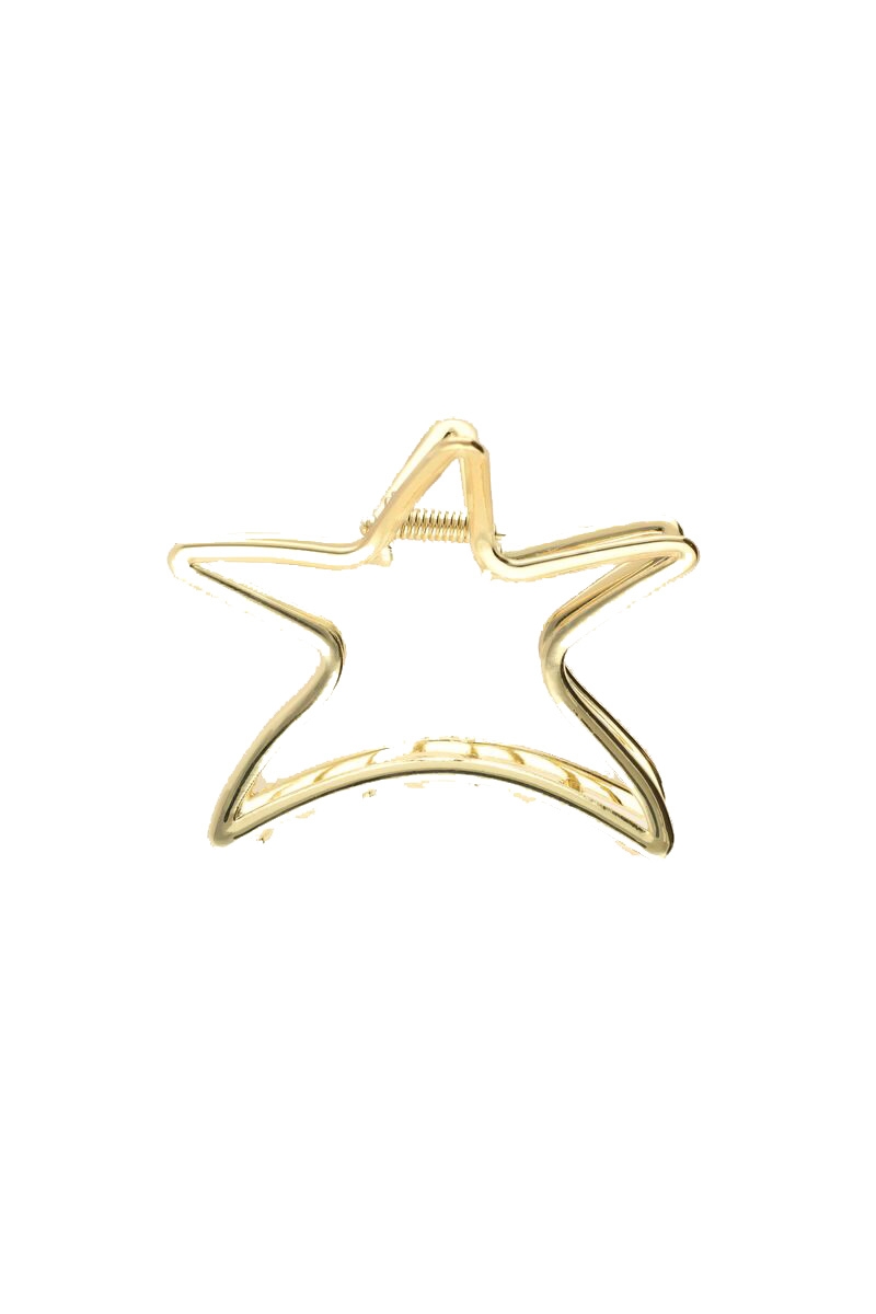 HAARCLIP MET GROTE STER GOUD