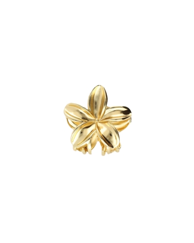 BLOEMEN HAARCLIP GOUD