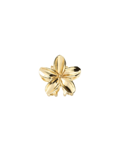 My Jewellery Hairclip mini flower MJ12777