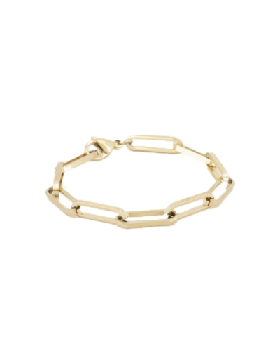 My Jewellery ARMBAND MET SCHAKELS