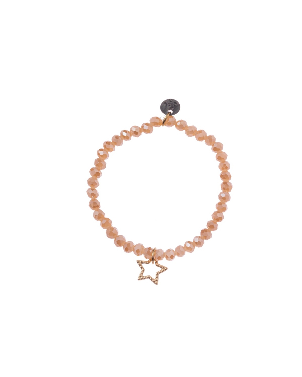 BEDELARMBAND MET STER ZALM
