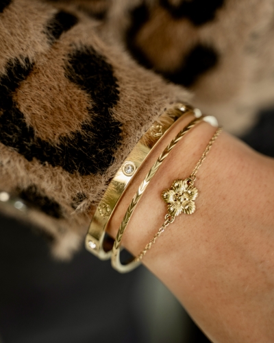 BANGLE MET ZIRKONIA EN KLAVER GOUD