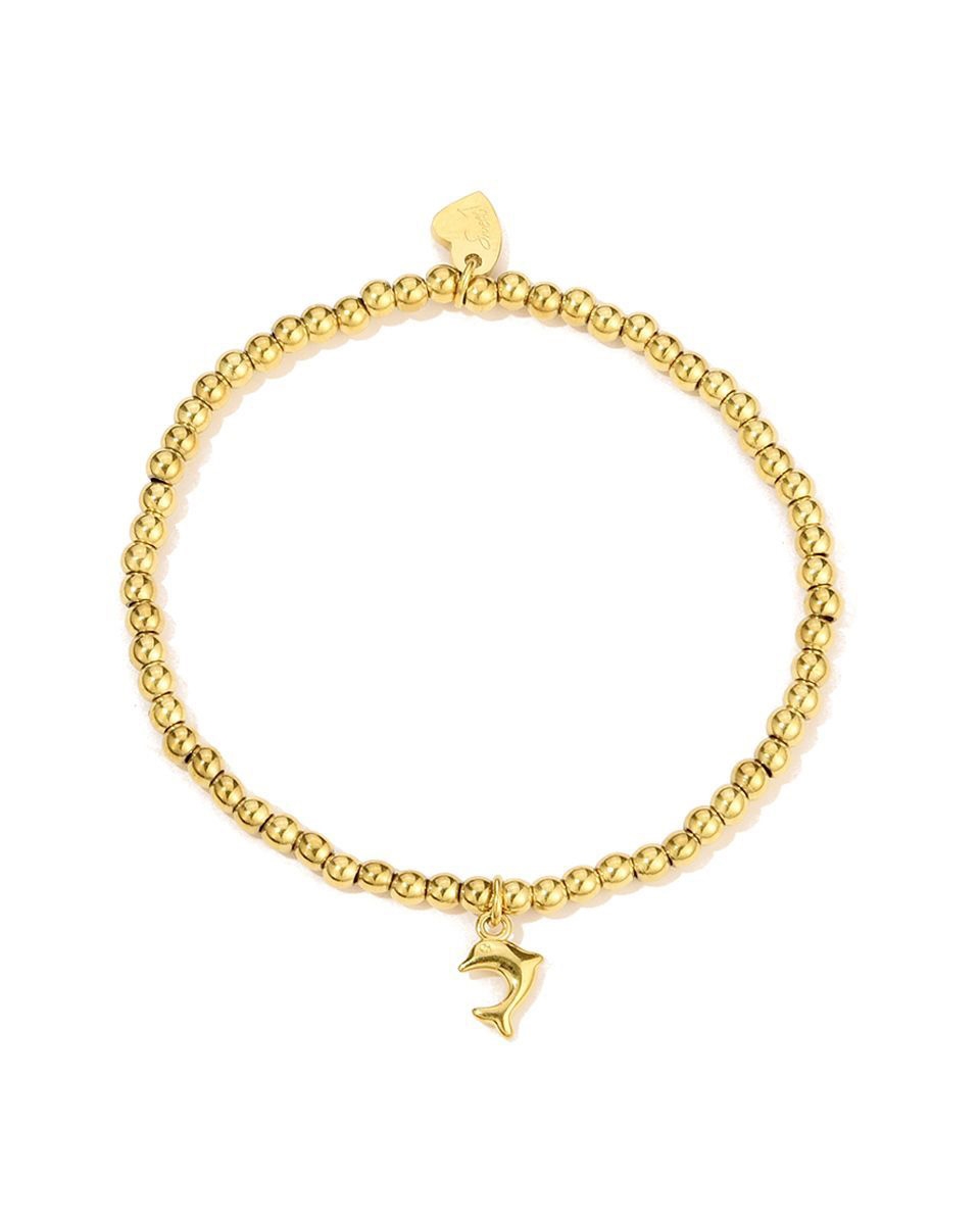 ELASTIEK ARMBAND MET DOLFIJN