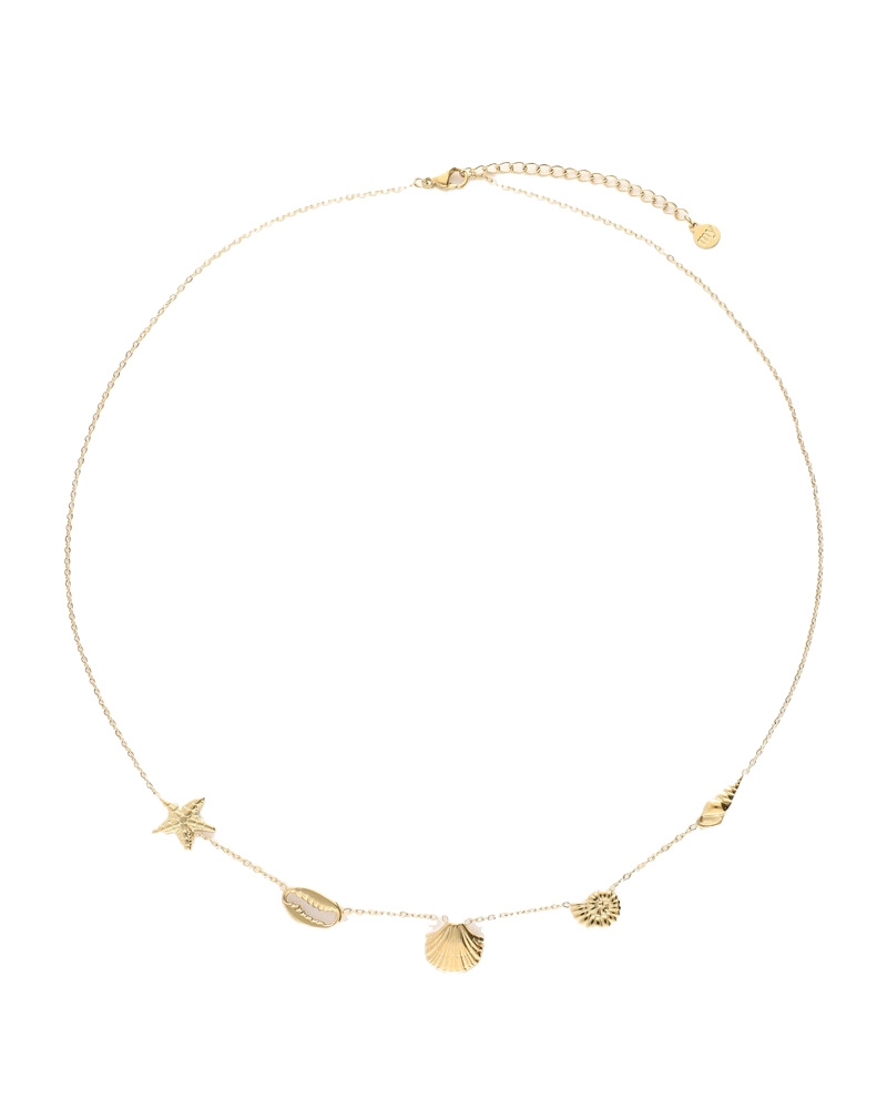 NECKLACE SHELLS HORIZONTAL GOUD