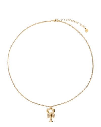 My Jewellery NECKLACE FINE LOBSTER GOUD