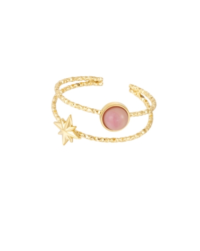 DUBBELE RING STEEN ROZE