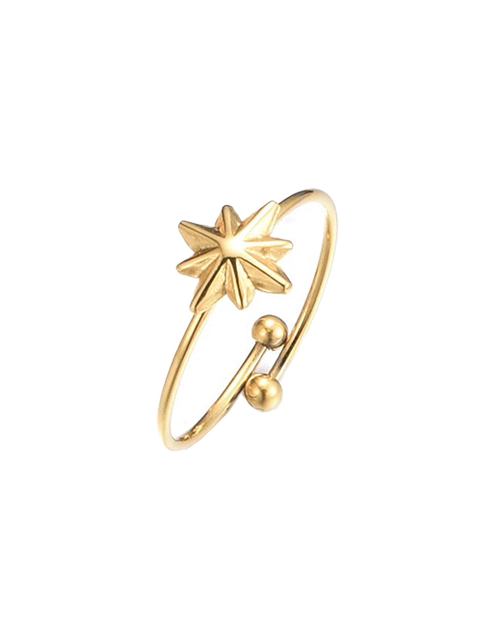 RING MET STER GOUD
