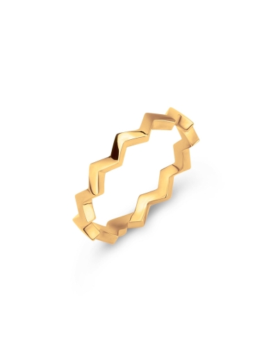  FRIENDS RUBY RING GOUD