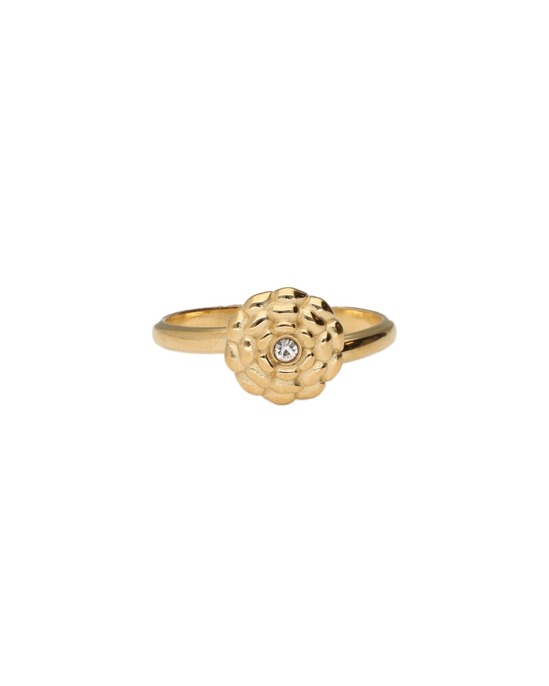 My Jewellery MJ13784 Gold
