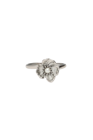 Zilverkleurig 