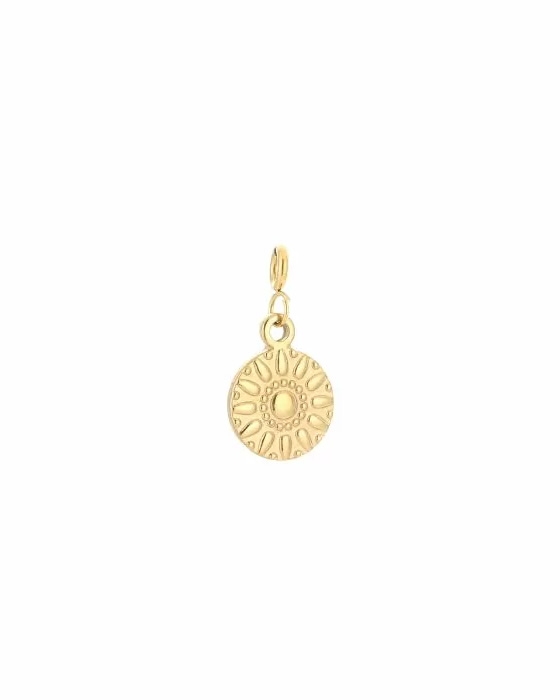 BEDEL MUNT MET ZON GOUD