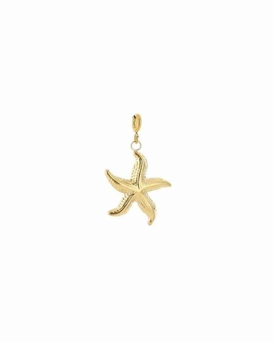 BEDEL ZEESTER GOUD