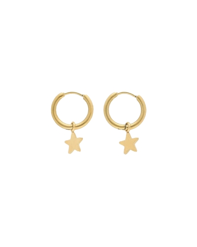My Jewellery Earrings with star MJ07890
