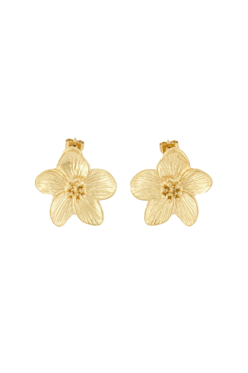 My Jewellery MJ08040 Goud