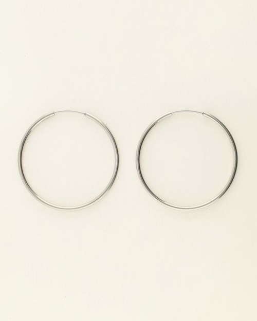 OORBELLEN GROOT ZILVER