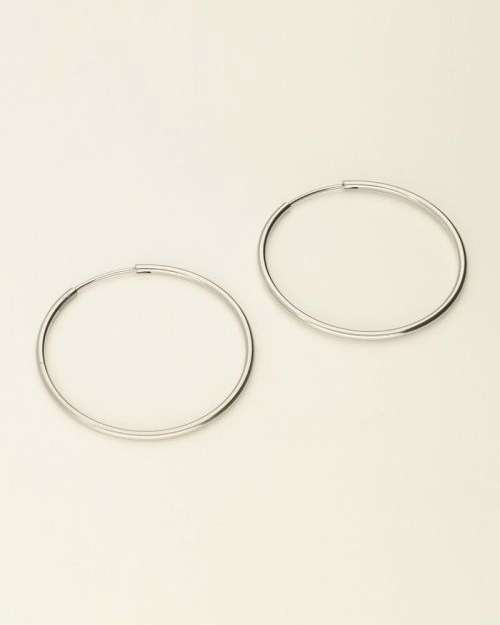 OORBELLEN GROOT ZILVER