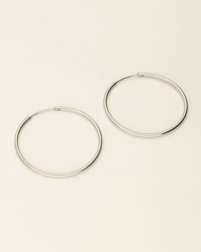 OORBELLEN GROOT ZILVER