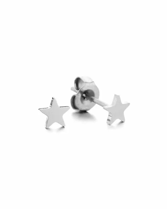 OORKNOPJE STER ZILVER
