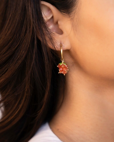 My Jewellery OORRINGEN MET ORANJE DRUIVENTROS GOUD