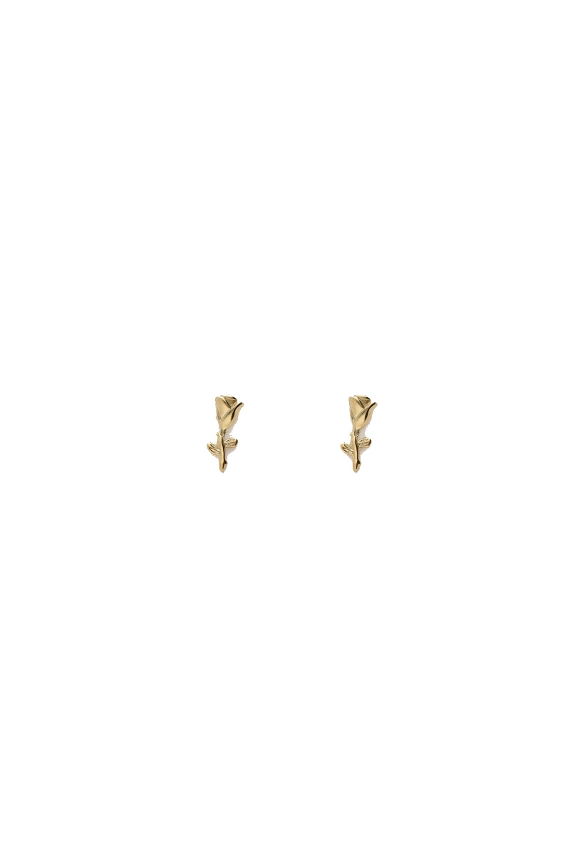 STUDS MET ROOS GOUD