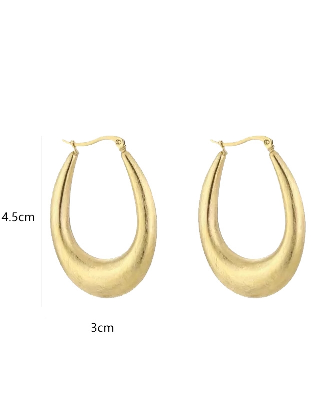 OORBELLEN BRUSHED OVAAL