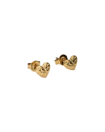 My Jewellery My Jewellery Oorbellen MJ13863 Gold