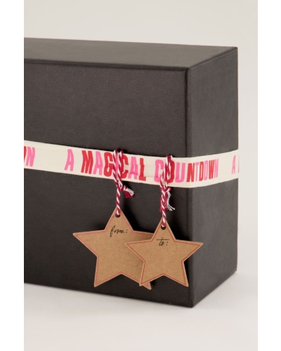 ADVENTSKALENDER 2021 ZILVER