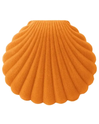 Gossip 0512048-605 SIERADENDOOSJE SCHELP FLUWEEL