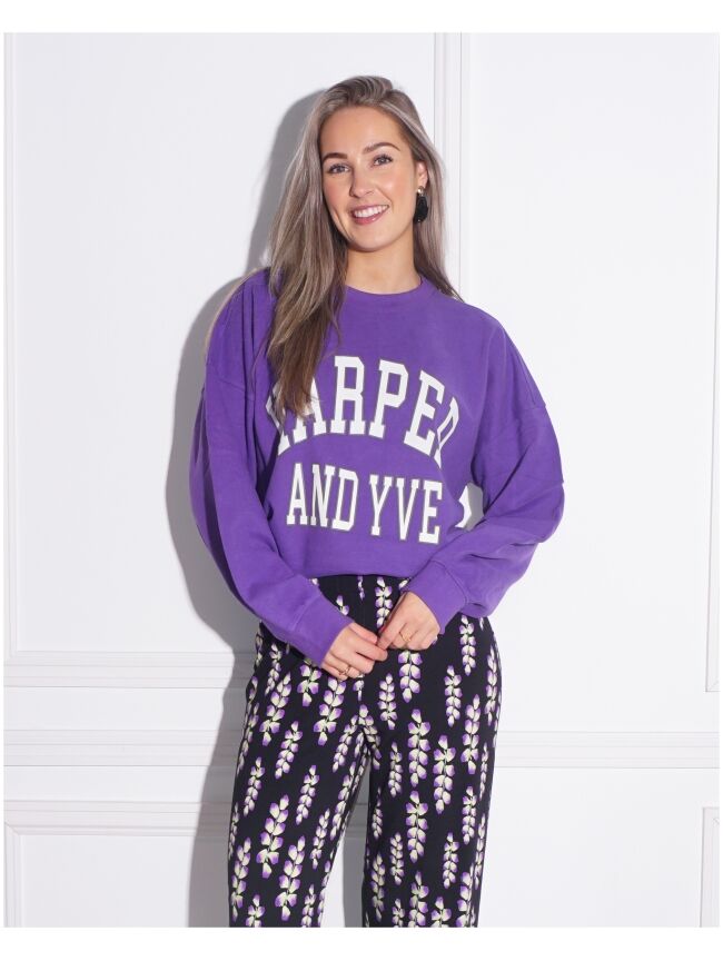 SWEATER VARSITY PAARS