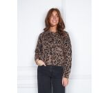 Kleur Bruin
