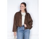 Kleur Bruin