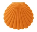 Kleur Oranje